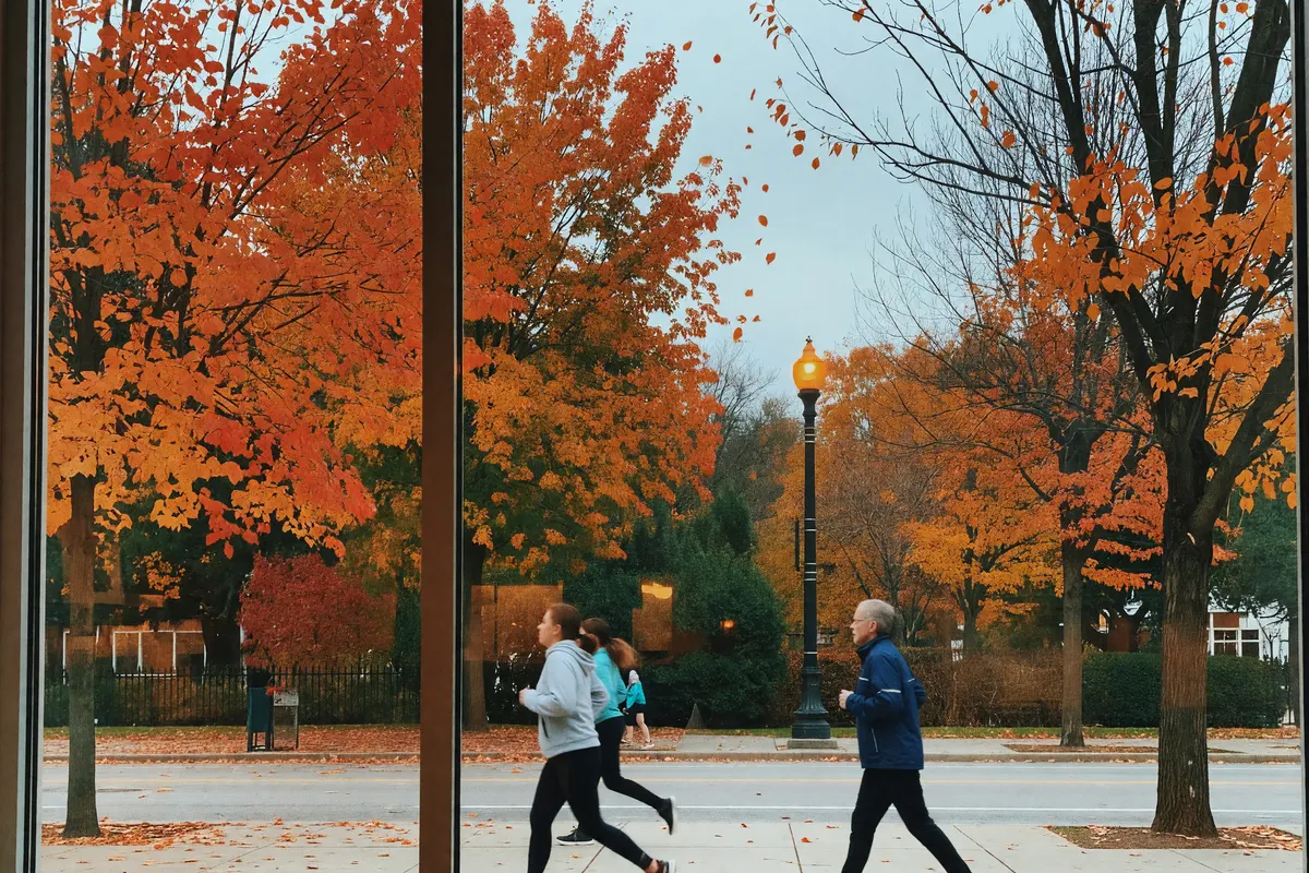 fall colors showing up way too early outside