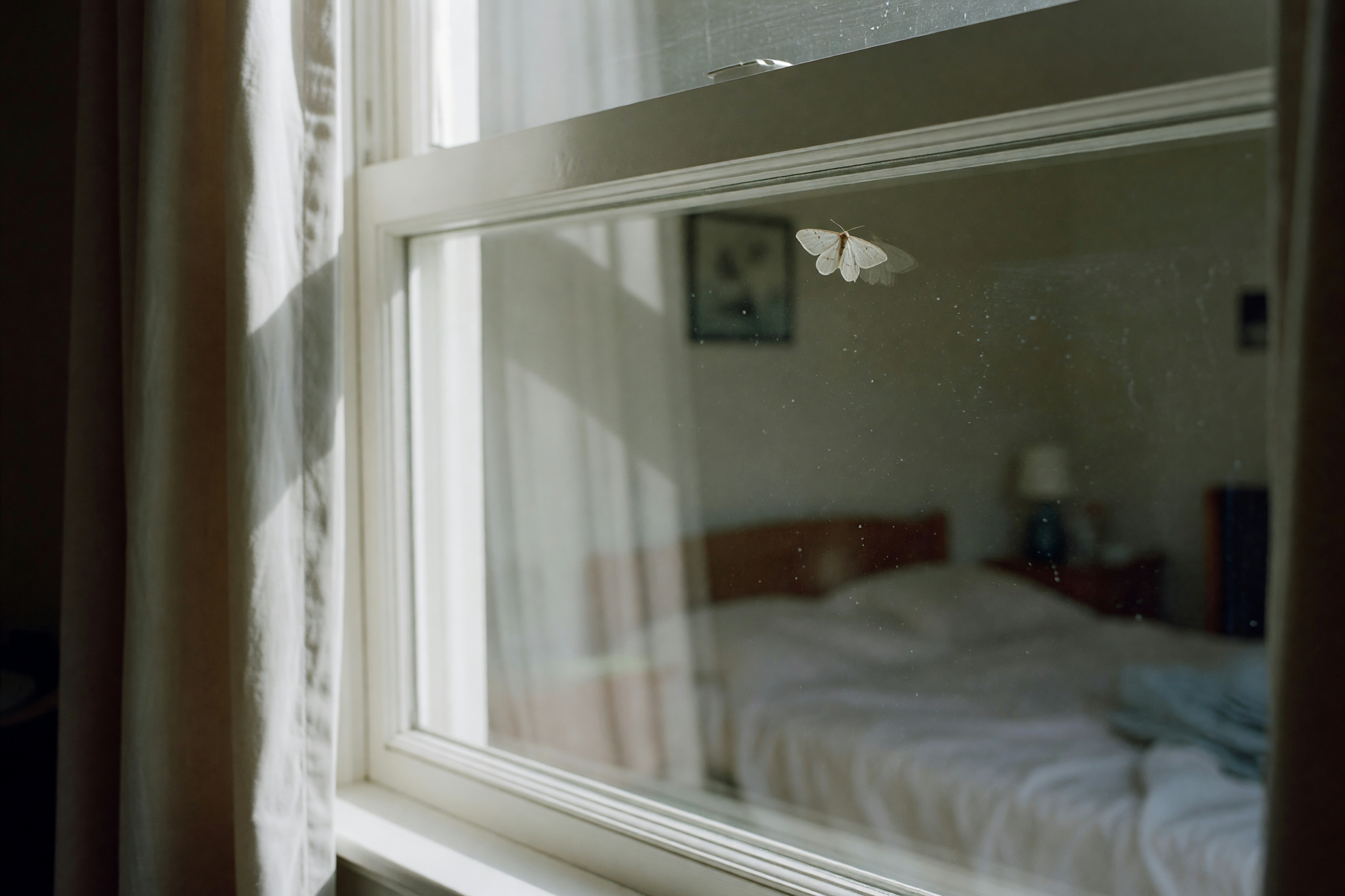 back bedroom window finally open